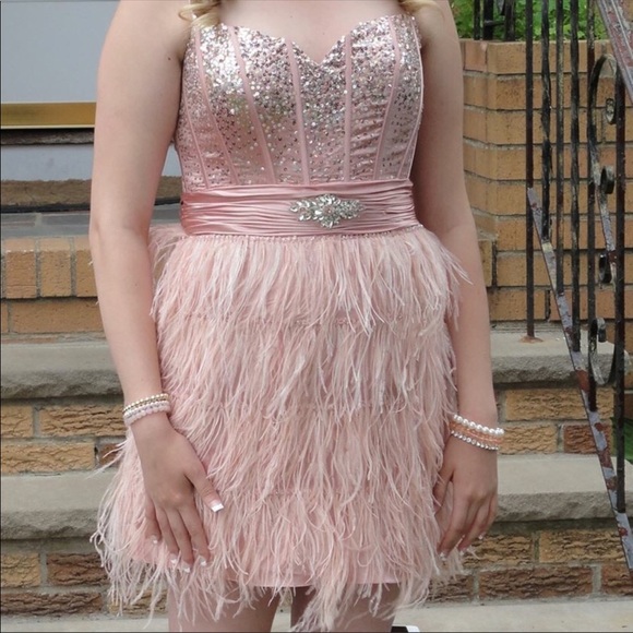 Pink Formal Dress - Picture 1 of 1